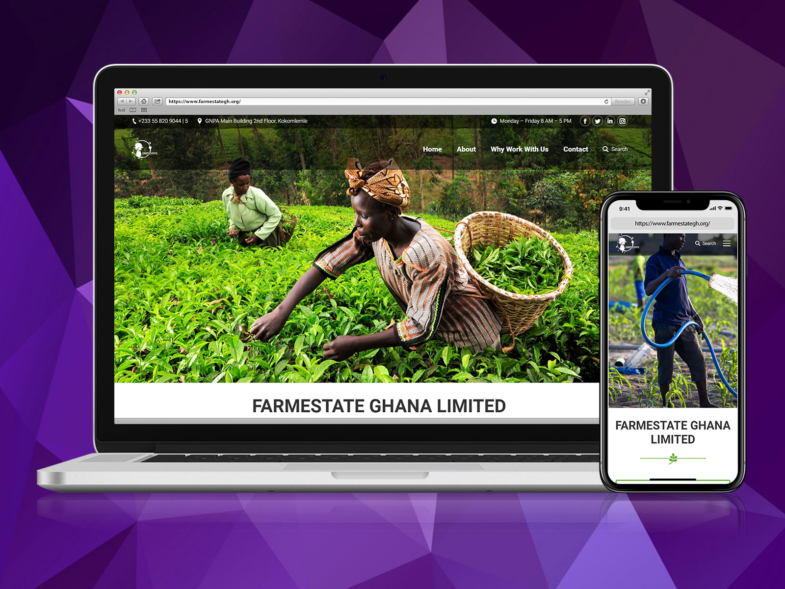 Farmestate-Ghana-Limited
